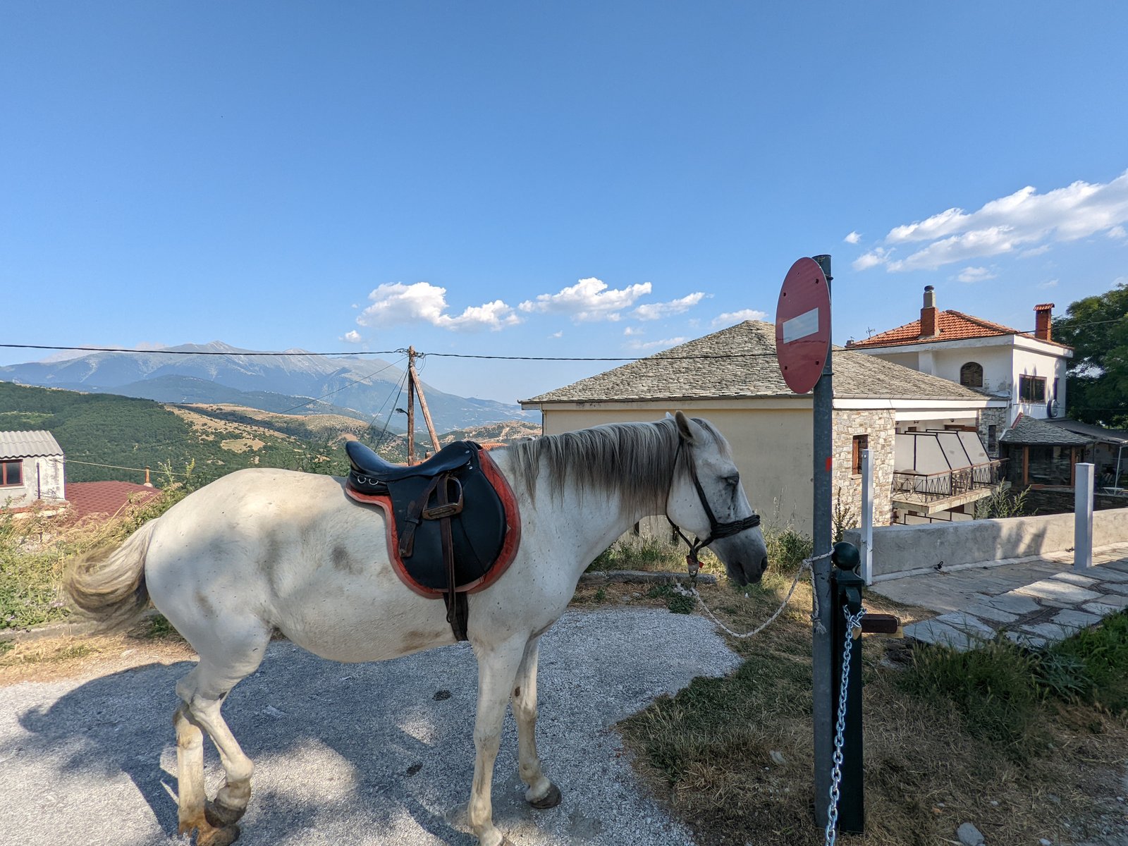 A trusty local mount saddled and ready, with Mount Olympus rising behind Livadi village