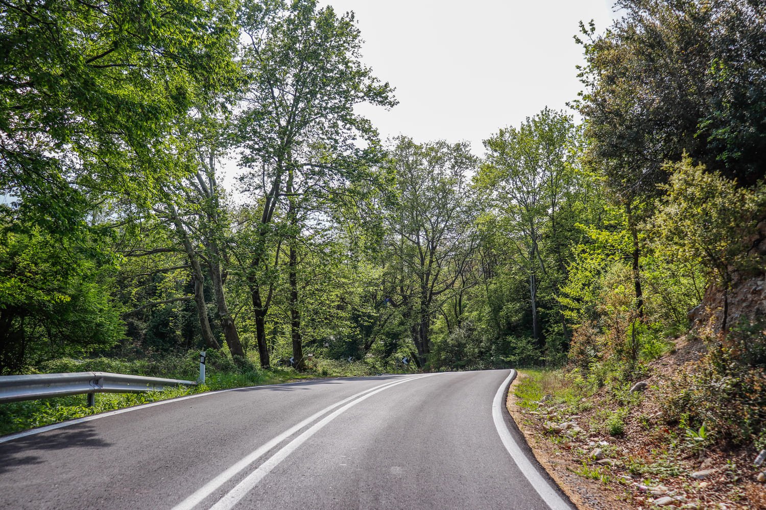The mountain road leading to Livadi village on the slopes of Olympus