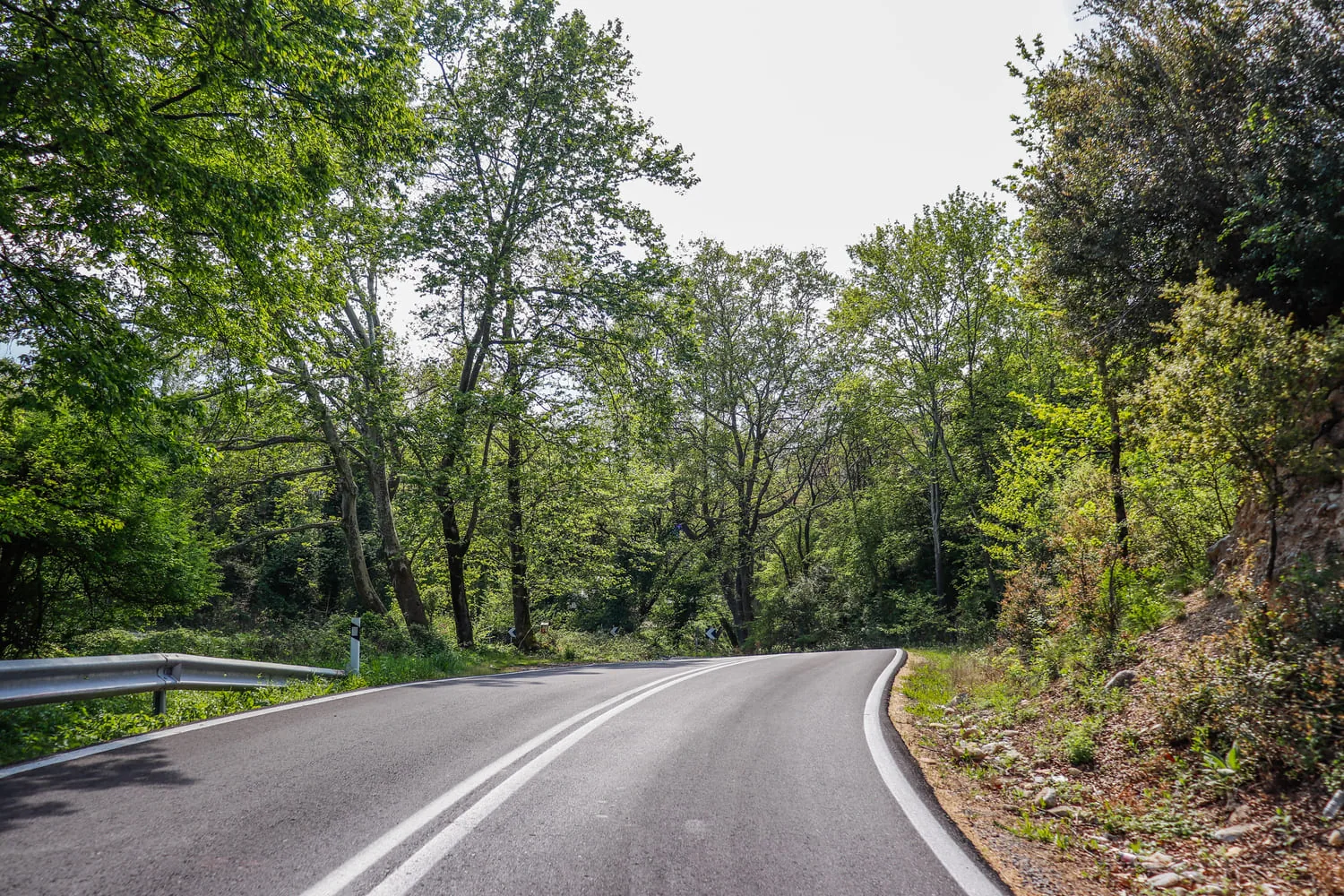 The scenic mountain road leading to Livadi village on the slopes of Olympus