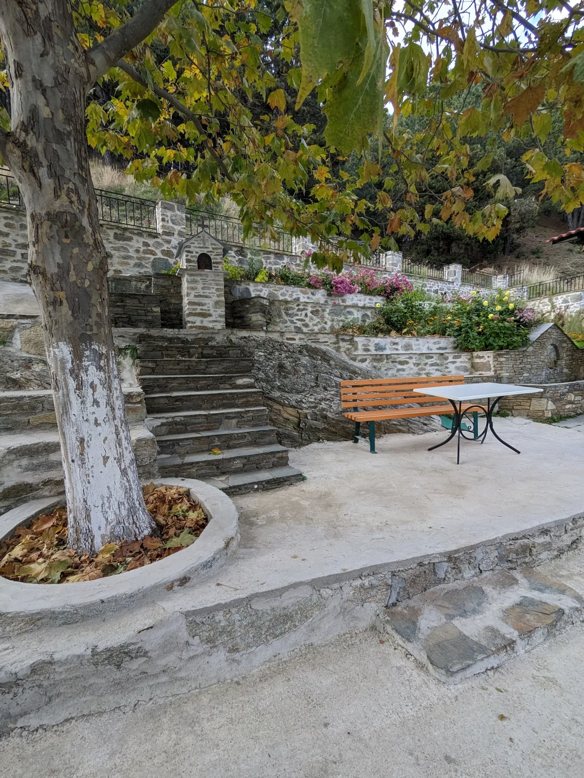 Ωραία σερβιρισμένο γκουρμέ πιάτο σε οικείο περιβάλλον εστίασης