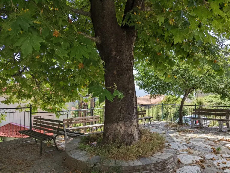 Traditional stone-paved paths of Livadi village, Mount Olympus
