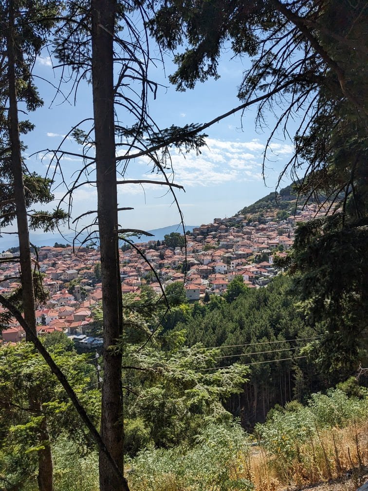 Δασικό μονοπάτι στις πλαγιές του Τίταρου κοντά στο Λιβάδι